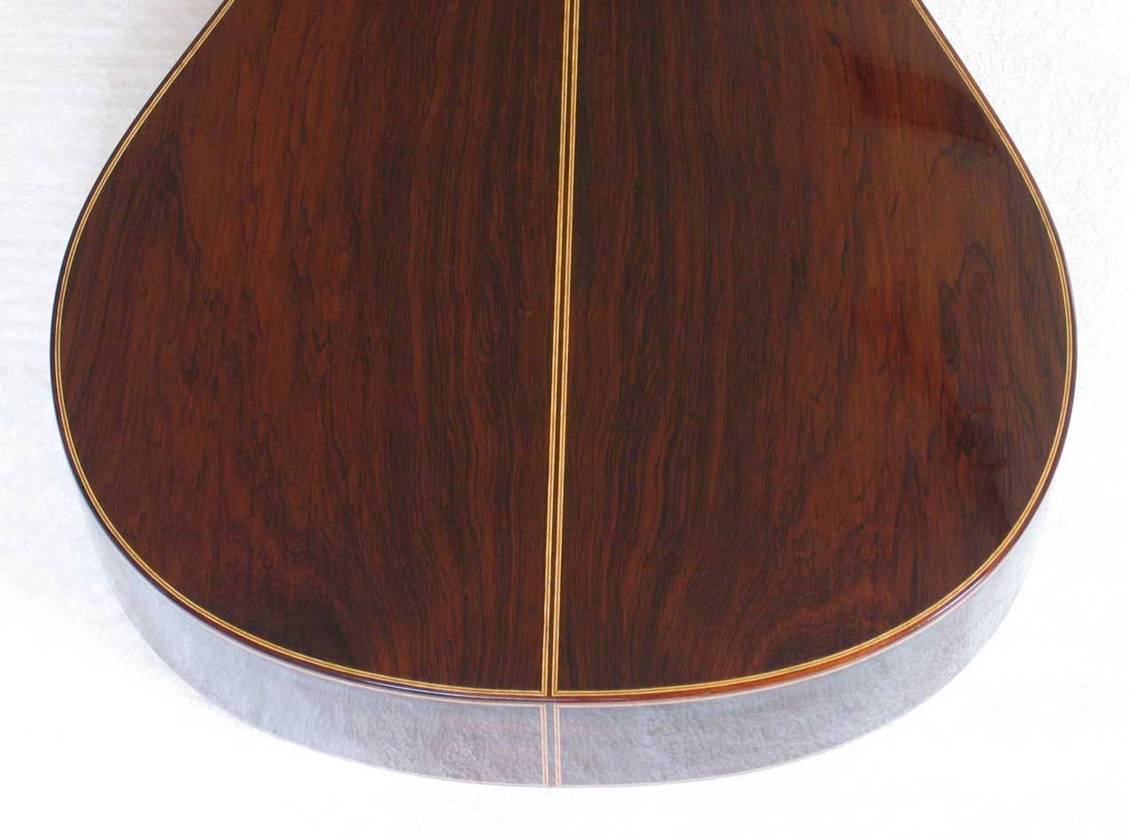 2004 Lucio Nunez 10-String Classical Harp Guitar Brazilian Back